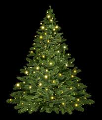 But the season of giving doesn't have to be the season of overspending. Second Life Marketplace Sanna Christmas Tree Lit With Large Fairy Lights Alpha Mp