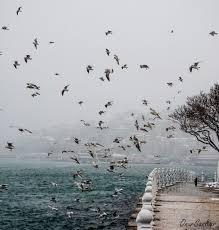 Thedrivenewyork Com Atmosphere Landscape Turkey Travel Places To Go Istanbul