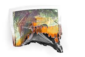 What Pictures From A Totally Ruined Polaroid Look Like | Wired