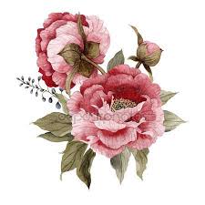 Pin On Bloemen