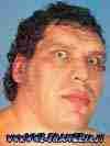 BIO/Profil André The Giant