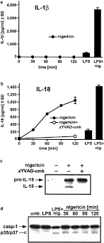 Chevrolet malibu hvac system wiring harness. Critical Role For Cathepsin B In Mediating Caspase 1 Dependent Interleukin 18 Maturation And Caspase 1 Independent Necrosis Triggered By The Microbial Toxin Nigericin Cell Death Differentiation