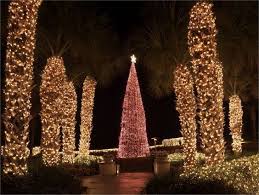 2016 Ritz Carlton Tree Lighting Ceremony Sf Amelia Island Florida Tree Lighting Christmas Tree Lighting