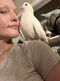 Toilet paper needed for bathroom supervisor