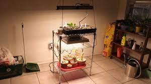 We did not find results for: Diy Grow Light Stand 2 Levels 2 Lights One Shelf Youtube