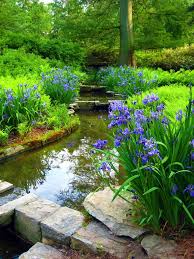 Pin By Angie Muller On Pond Koi Pond Water Features In The Garden Garden Stream Beautiful Gardens