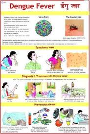 dengue fever charts