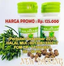 Hasil gambar untuk agen majakani kanza