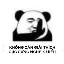 Ghim của pudding trên memes | Meme, Funny memes, Gấu trúc