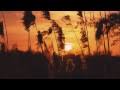 وتذكرت زماني Mp3