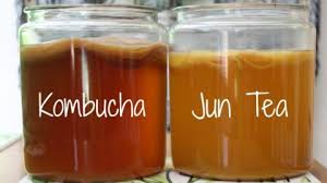 Jun Tea Honey Kombucha Recipe Video Healthy Home Economist