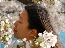 Labeling Thoughts For Overthinking Faye Barry sellers