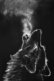 We did not find results for: Wolf Wallpaper Hd For Mobile Novocom Top
