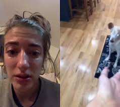 #duet with @cabotheblinddoggo