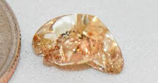 Texas Woman Finds 3 72 Carat Diamond At Arkansas State Park Gem Hunt Gem Mining Diamond State Park