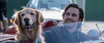 Dory is reunited with her friends nemo and marlin in the search for answers about her past. The Art Of Racing In The Rain Movie Review The Art Of Racing In The Rain Movie The Art Of Racing In The Rain Roger Ebert
