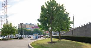 Navigating Pitts parking puzzle | University Times | University of  Pittsburgh