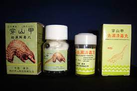 Manidés • pangolins modernes « pangolin » redirige ici. Save The Beasts Stop The Slaughter Despite The Headlines China S Government Still Promotes Pangolin Scales In Traditional Medicines Eia Report Discovers It S All Smoke And Mirrors London China Secured Huge International