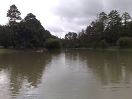 Pagina para que todos podamos compartir: Parque Aurora Zambrano F M Honduras Mapio Net