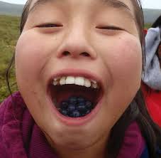 Bombus perplexus…And other bee befuddlement