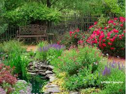 pin by d b on fl rain garden and drainage solutions water plants water garden garden design