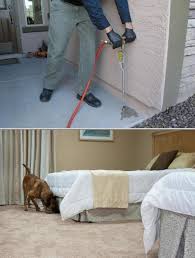 Join the many who place their trust in watts pest prevention. Pest Control Extermination Services Best Pest Control Termite Control Termite Treatment