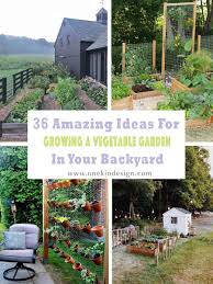 This is a great idea for small garden spaces because it helps you to keep your garden area separate from your lawn. 36 Amazing Ideas For Growing A Vegetable Garden In Your Backyard