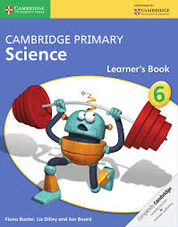 The world's largest ebook library. Cambridge Primary Science Learner S Book 6 By Cambridge University Press Education Issuu