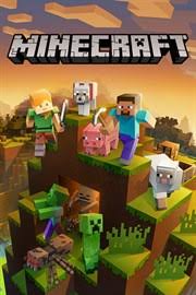 There are two methods that you as a server owner have to weigh the benefits and downsides of. Buy Minecraft For Windows 10 Starter Collection Microsoft Store En Gb
