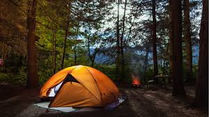 Umbagog lake state park, is one of the more recently acquired parks in the state system. Maine Campgrounds Open For Reservations Newscentermaine Com