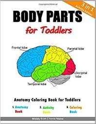 4.4 out of 5 stars. Body Parts For Toddlers Anatomy Coloring Book For Toddlers Scott Winbly Maine Annie 9781795530033 Amazon Com Books