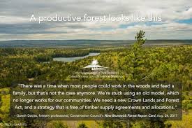 I am all for the little guy being able to make a living”