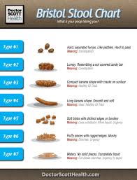 bristol stool chart cake fresh stool bristol chart stool