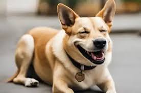 Rialto Police Chief Randy De Anda to retire in December