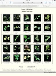 3 Leaf Plant Identification Atlantiquepaysages