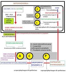 biochemistry medicotimes pgmee page 2