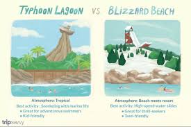 Maybe you would like to learn more about one of these? Disney Decisions Typhoon Lagoon Or Blizzard Beach