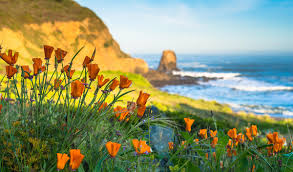 Top of the mounds condominium association. Posts In Things To Do Blog