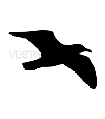 Seagull Silhouette Bird Silhouette Silhouette Stencil Seagull Tattoo
