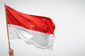 Menggam gambar bendera indonesia : Bendera Merah Putih Arti Sejarah Dan Maknanya Halaman All Kompas Com