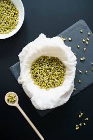 Satisfaction guaranteed · same day shipping Mung Bean Sprouts How To Make Sprouts Green Gram Sprouts
