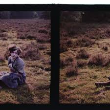 Comissões e taxas de câmbio 8.8. Franca Ou Suica Entre 1915 E 1918 Download Scientific Diagram