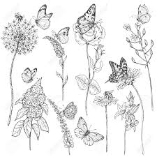 As they travel from flower to flower, they also pollinate them, enabling them to set seed or bear fruit. Hand Drawn Set Of Butterflies Bees And Wildflowers Royalty Free Cliparts Vectors And Stock Illustration Image 72093146