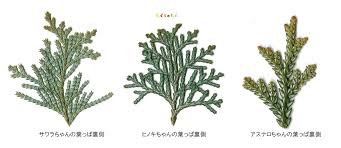 もぐらのもぐ作者 セカイ系ぶろぐ Ssブログ