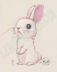 Cute Illustration Kawaii Rabbit Ensaioinfantil Mundorosa Maedemenina Animal Drawings Bunny Art Cute Animal Drawings