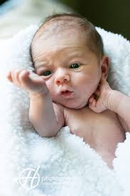 Newborn Photos Schaumburg