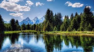 Download hd hd nature wallpapers best collection. Hd Nature Wallpapers 1080p Group 85