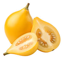 Image result for Solanum mammosum