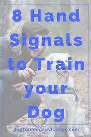 15 16 Best Sign Language For Dogs Images On Pinterest Dog