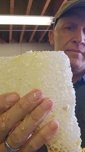 Wild honeycomb challenge